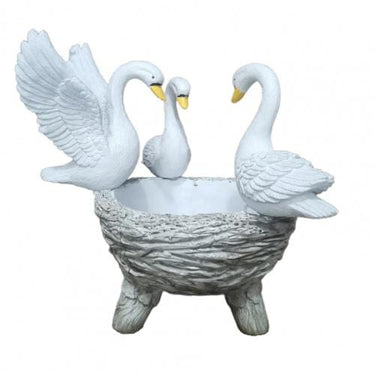 Vasque oiseaux